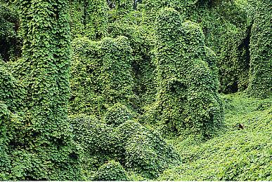 PC Gamer 2021硬件奖：雷蛇灵刃14获最佳游戏本